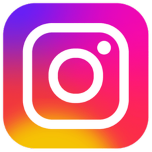 Instagram  logo