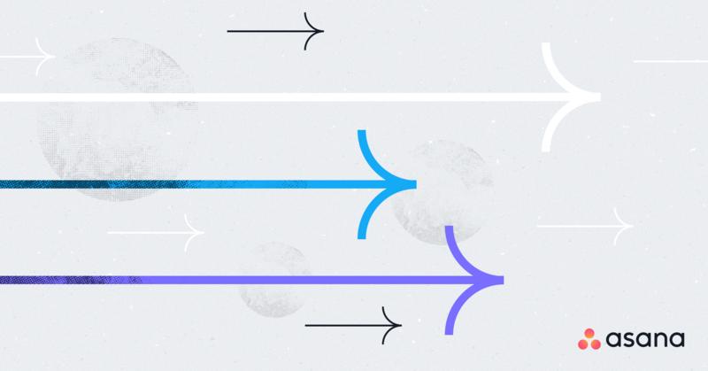 Case Study: Apparatus Quo image