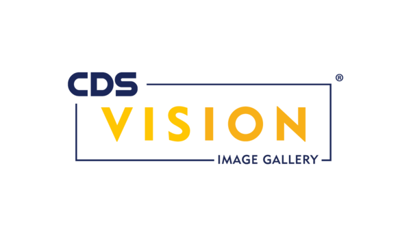 header Vision Image Gallery image