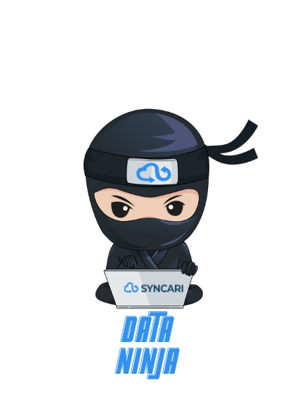 Syncari Partner Program Overview image