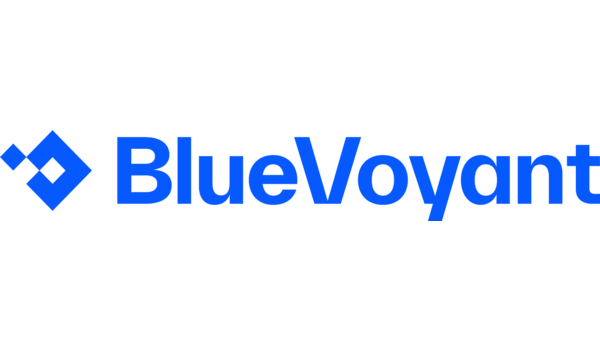 header BlueVoyant LLC (USA) image