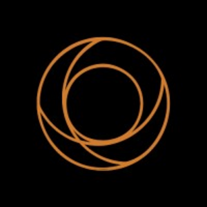 The Partner Guy logo