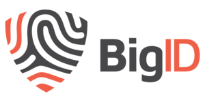 BigID Technology Partner Program logo