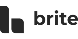 Brite Professional Services  logo