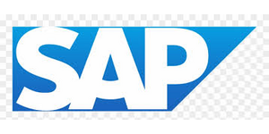 SAP Build Partners Program logo