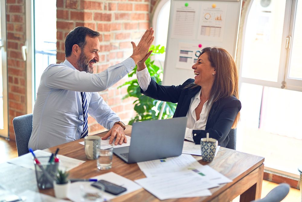 Why you need an SI Partner image