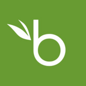 BambooHR v2 logo