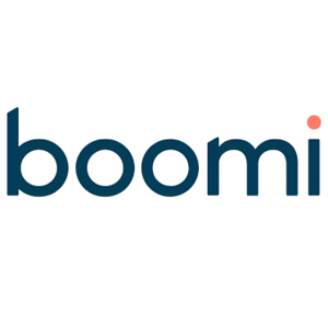 Boomi Technology Partners logo