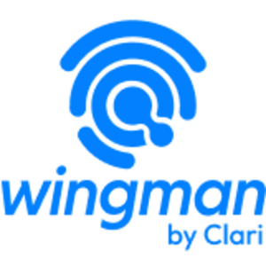 Wingman logo