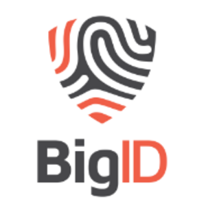 BigID logo