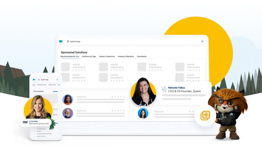Salesforce Partner Success Stories image