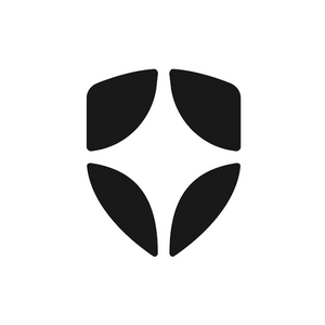 Auth0 Single Sign-On (SSO)	 logo