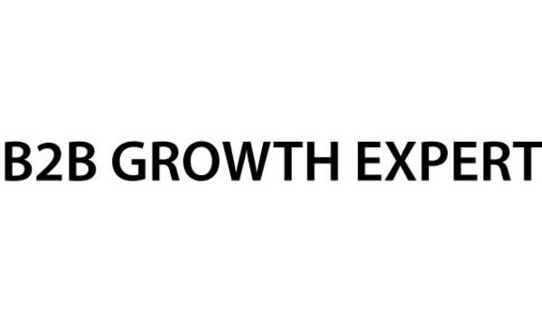 header B2B Growth Expert image