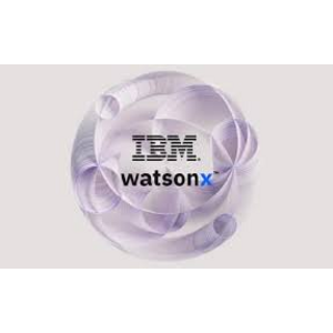 IBM watsonx logo