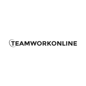 TeamWork Online logo