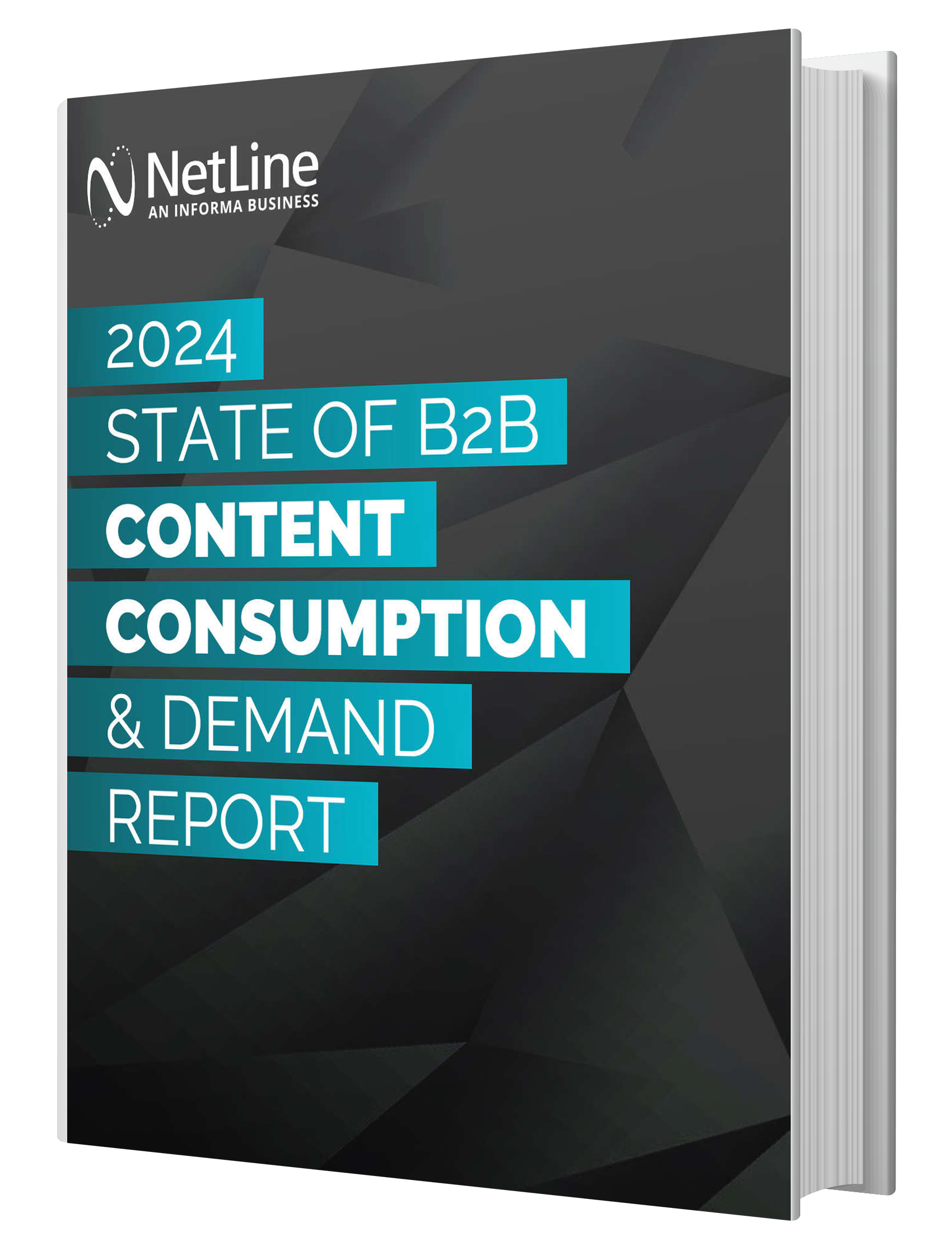 NetLine's 2024 State of B2B Content Consumption and Demand Report image