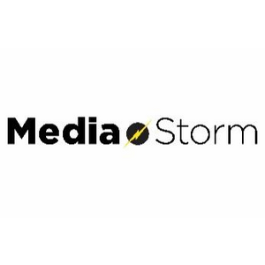 Media Storm, Llc logo