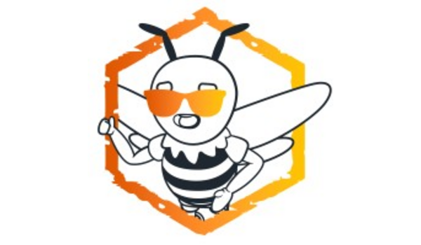 header HIVE Strategy image