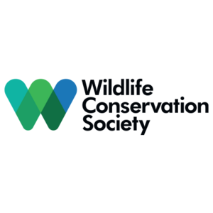 Debbie Schneiderman image