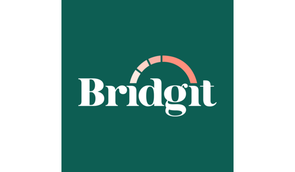header Bridgit image