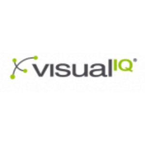 header Visual IQ image