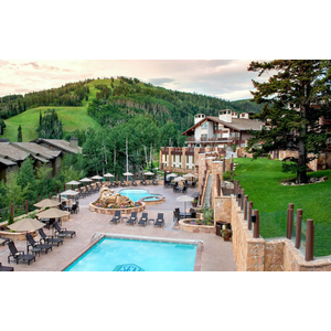 Stein Collection image