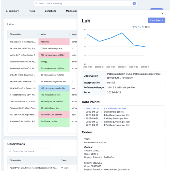Metriport clinician interface and labs chart
