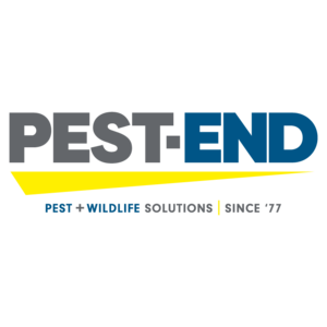 Courtney Carace image