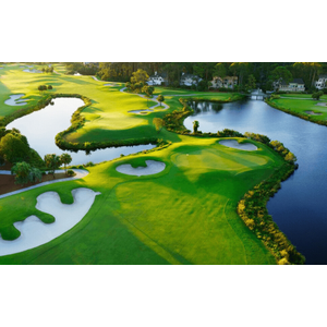 Palmetto Dunes Oceanfront Resort image