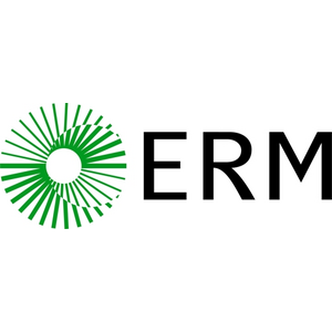 Regional CEO for EMEA image