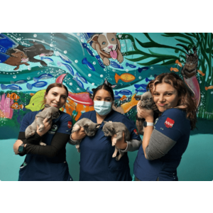 Livermore Pets  image