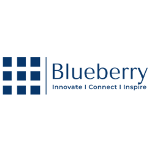 header Blueberry Tech Solutions image