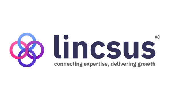 header Lincsus Group Ltd image