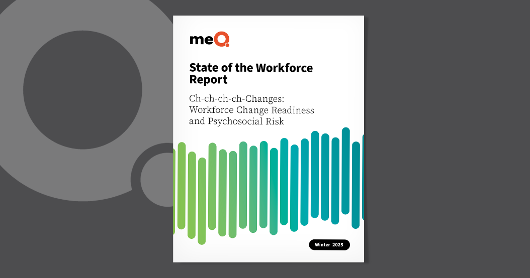 meQ - Report image